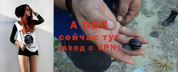 метадон Богданович