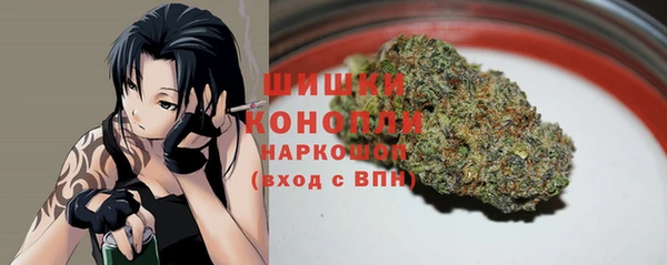 метадон Богданович