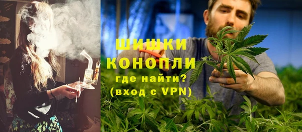 первитин Богородицк