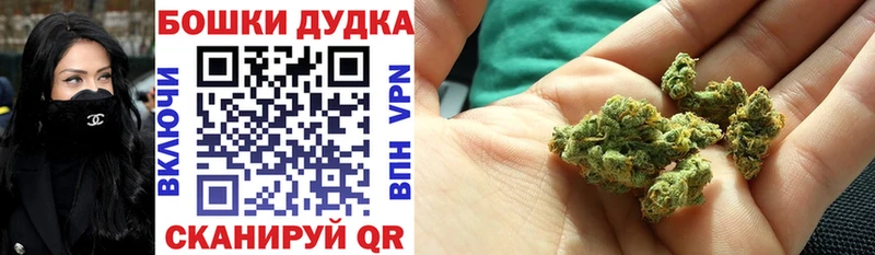 МАРИХУАНА план где можно купить Кореновск